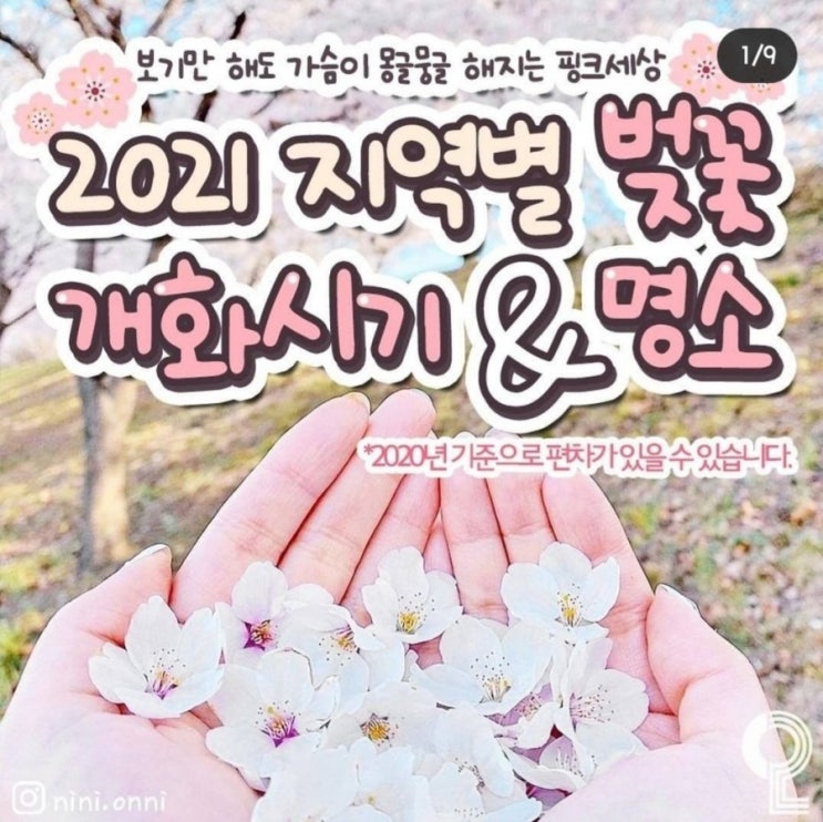  지역별 벚꽃 개화시기