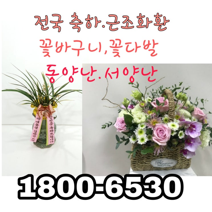  대구 장례식장 화환배달 고속배달 당일배송 저렴한가격 5만원대화환 고속플라워 1800-6530