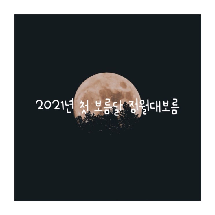  2021년 정월대보름 나물반찬 오곡밥  ( 아기 나물반찬 ) 우리네 우리의 점심시간