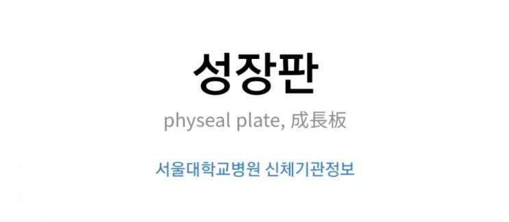  성장판