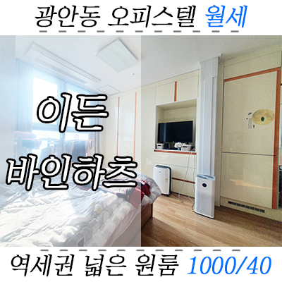 수영구 광안동 역세권 오피스텔 이든바인하츠 투룸개조 넓은원룸 월세 수영구 광안동 역세권 오피스텔 이든바인하츠 투룸개조 넓은원룸 월세