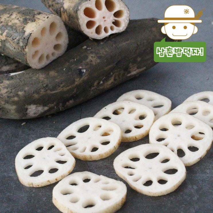 잘팔리는 한뿌리 햇 흙연근 (특)1kg/2kg, (특)1kg 추천해요 잘팔리는 한뿌리 햇 흙연근 (특)1kg/2kg, (특)1kg 추천해요