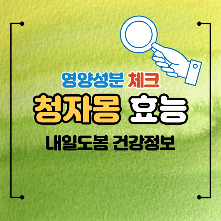 메로골드자몽 영양성분 효능 청자몽 칼로리