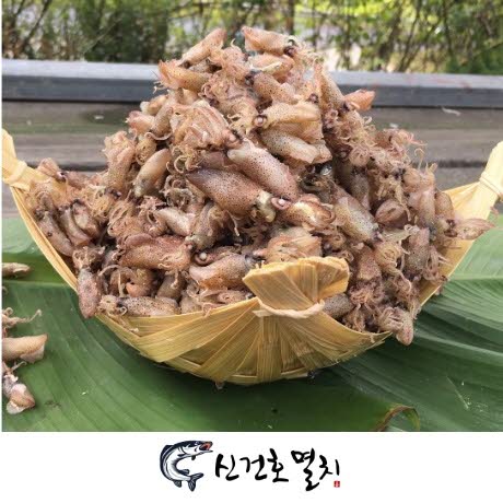 갓성비 좋은 신건호멸치 직접생산 국산 햇 꼴뚜기 1KG, 1box 추천합니다 갓성비 좋은 신건호멸치 직접생산 국산 햇 꼴뚜기 1KG, 1box 추천합니다
