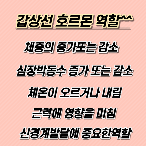 갑상선호르몬의 불균형, 갑상선암진료비와갑상선암치료법를 알아보자