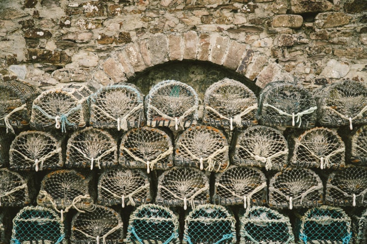 수산양식기사 Engineer Aquaculture 수산양식기사 Engineer Aquaculture