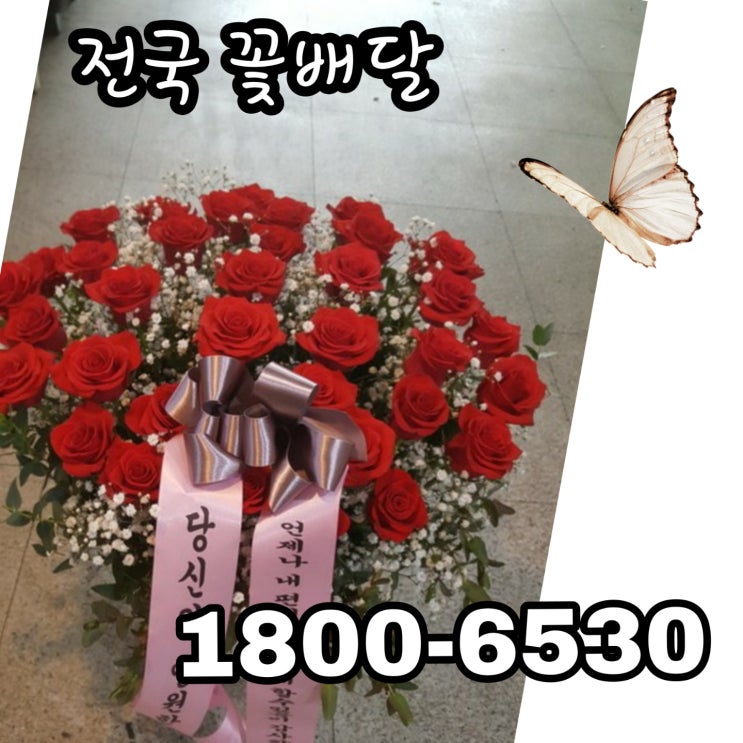  생일꽃배달 러블리한꽃 아내생일 축하꽃바구니 생일선물꽃다발 주문 고속플라워 1800-6530