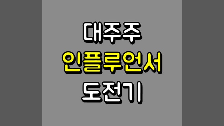  대주주 인플루언서 도전기