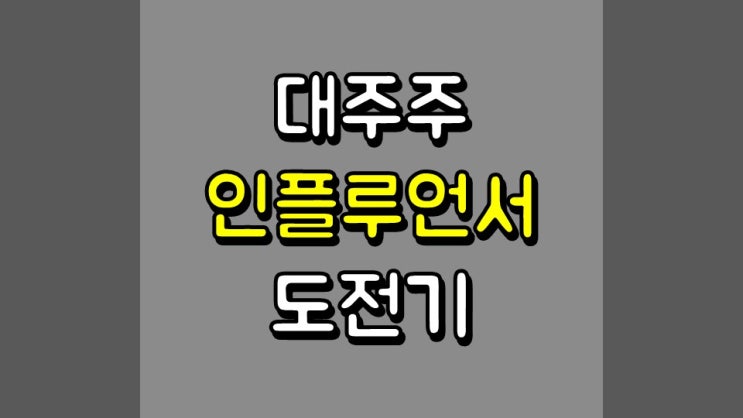 대주주 인플루언서 도전기