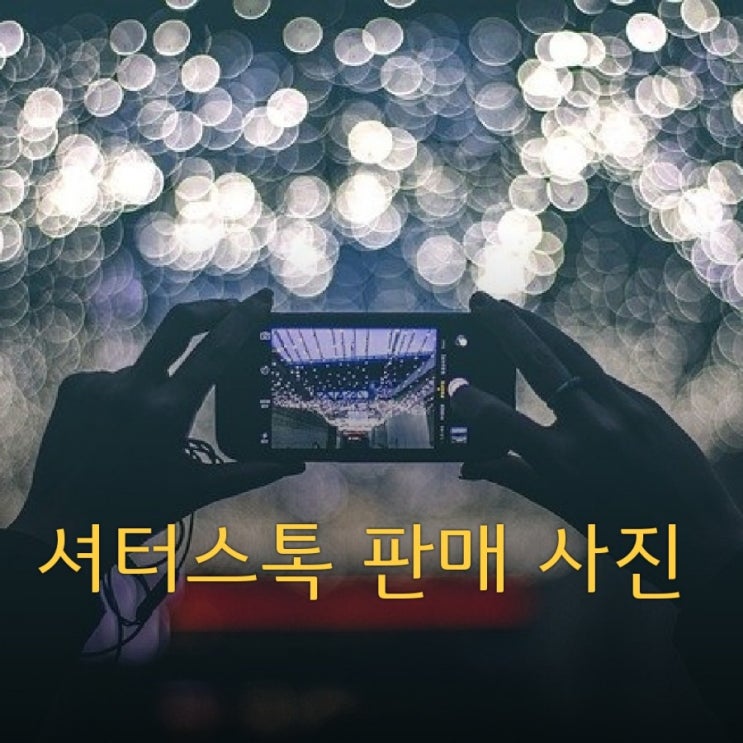  셔터스톡 판매된 사진 리스트 _ 당신도 할 수 있다!
