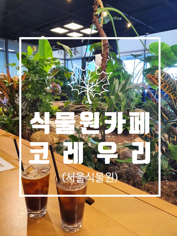  식물원 카페 코레우리 (feat. 서울식물원 식물문화센터)