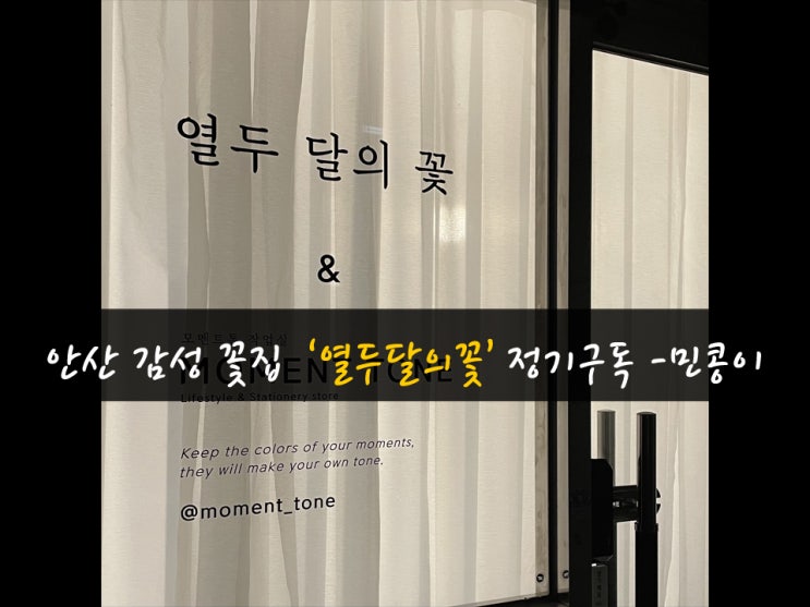안산 감성 꽃집 : 열두달의꽃, 정기구독 & 졸업식 & 기념일 꽃다발 추천. 민콩이