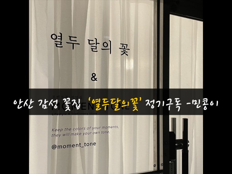  안산 감성 꽃집 : 열두달의꽃, 정기구독 & 졸업식 & 기념일 꽃다발 추천. 민콩이