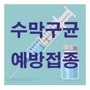  초등학교 입학준비물(1) 예방접종-수두2차, 수막구균 뇌수막염