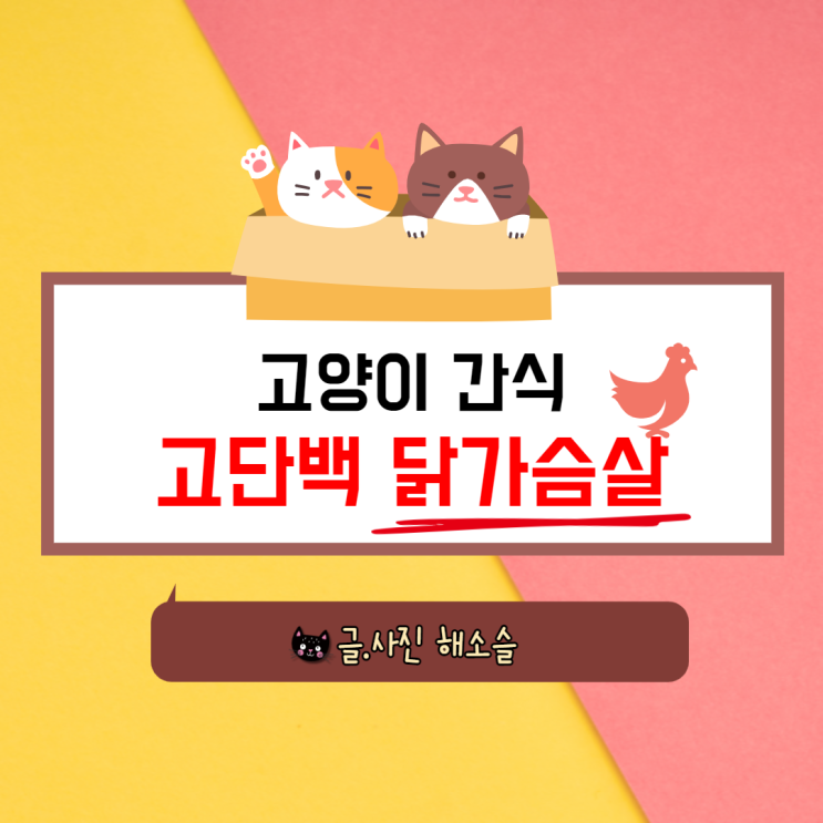  고양이 닭가슴살 고단백 저칼로리 간식으로 추천