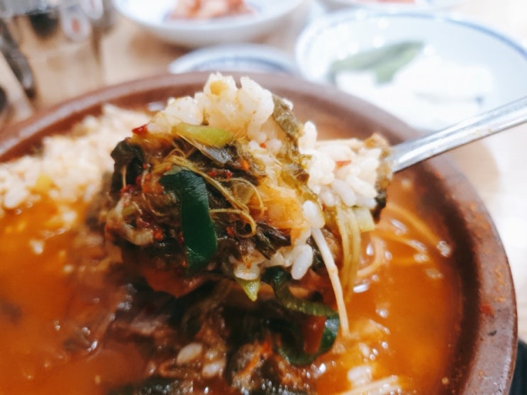  서면 곰탕 맛집 바우네 나주 곰탕 괜찮네