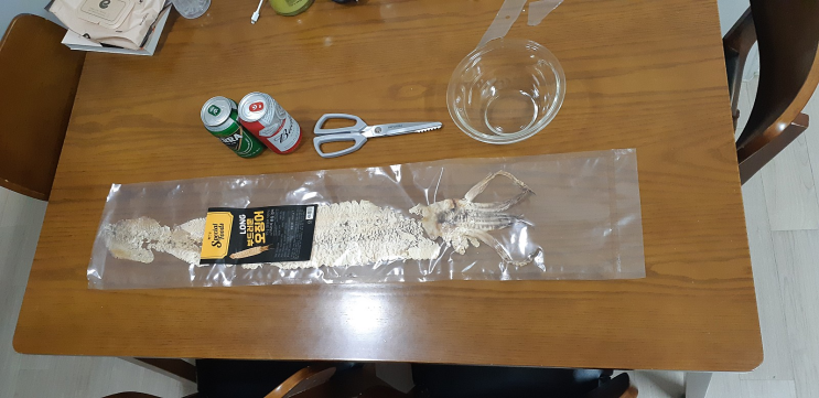  휴게소 대왕오징어? 대패오징어 후기 - 장담점