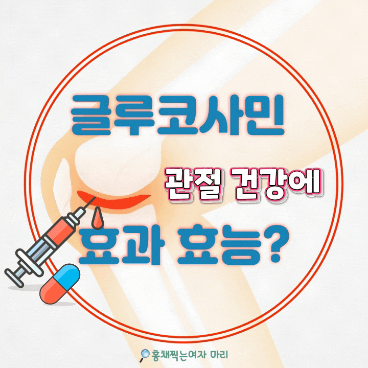  글루코사민 관절 건강에 효과? 효능?