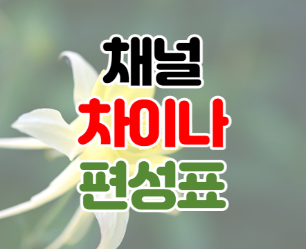 채널차이나 편성표 VOD 시청하기 채널차이나 편성표 VOD 시청하기