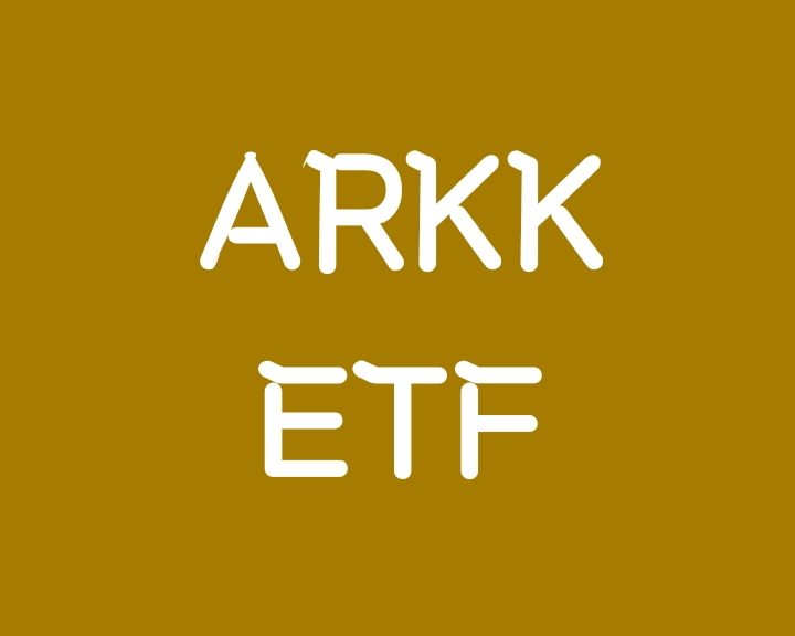 미국 혁신기업에 투자하는 ARKK ETF (Ark Innovation) 미국 혁신기업에 투자하는 ARKK ETF (Ark Innovation)