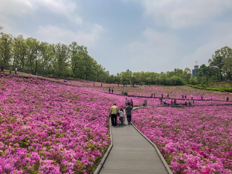 불암산 노을 진 풍경을 보면서 / 마지막 서울 산악 투어/서울의 밤/불암산 나들이