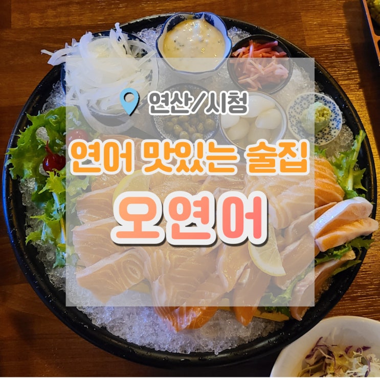  부산시청 술집 오연어 , 부산시청 연어 맛있는 곳