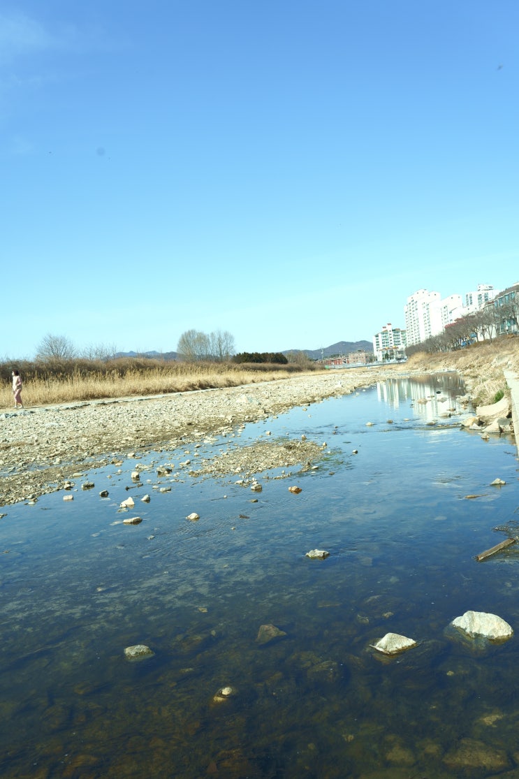  봄이 오는 소리