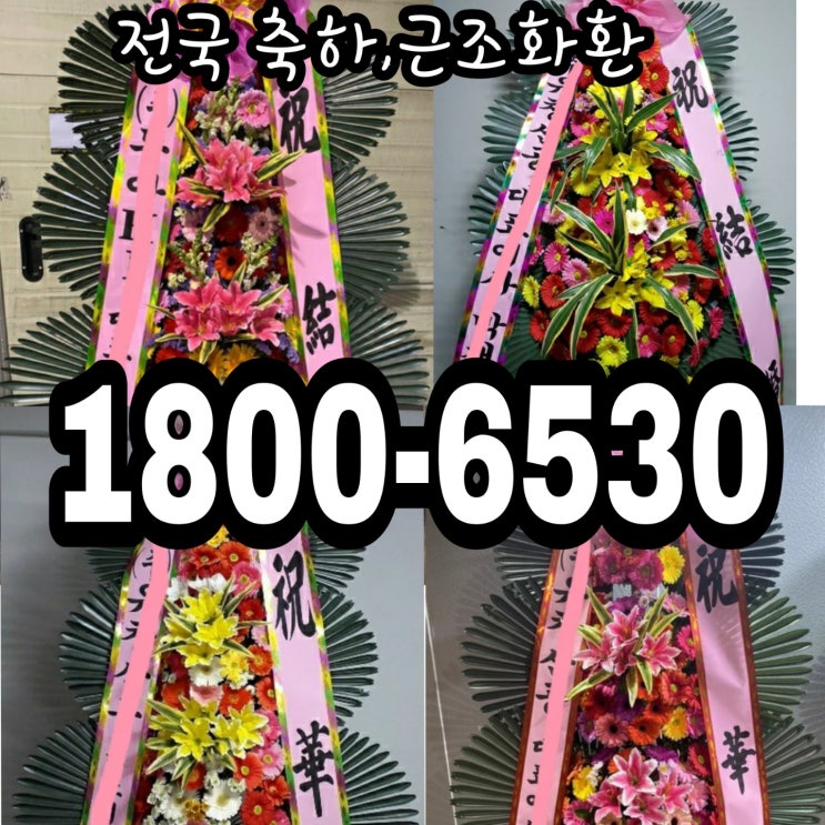 결혼식축하화환 전국무료배송 예식장화환 저렴한가격으로 주문 고속플라워 1800-6530