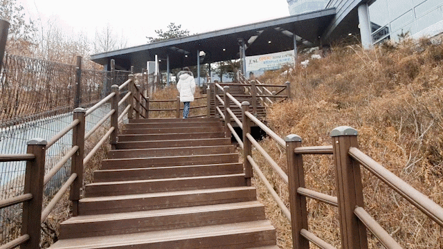 북서울꿈의숲 경치좋은 중식당 메이린 북서울꿈의숲 경치좋은 중식당 메이린