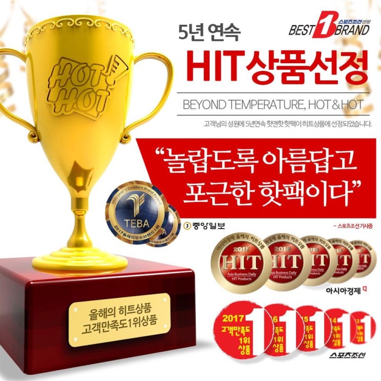  [할인제품] 핫앤핫 파스형 핫팩 50g X 10매 12,800 원︎ 19% 할인