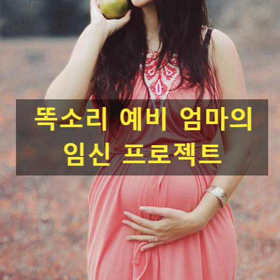 똑소리 예비 엄마의 임신 프로젝트