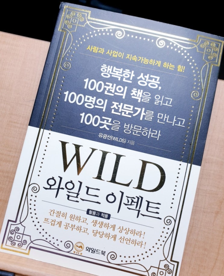  WILD 와일드 이펙트 / 유광선 지음