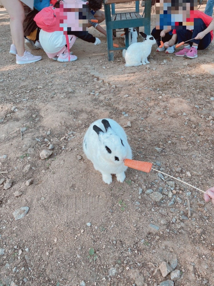  개인 채무, 개인신용, 재산 상태 조회하는 방법