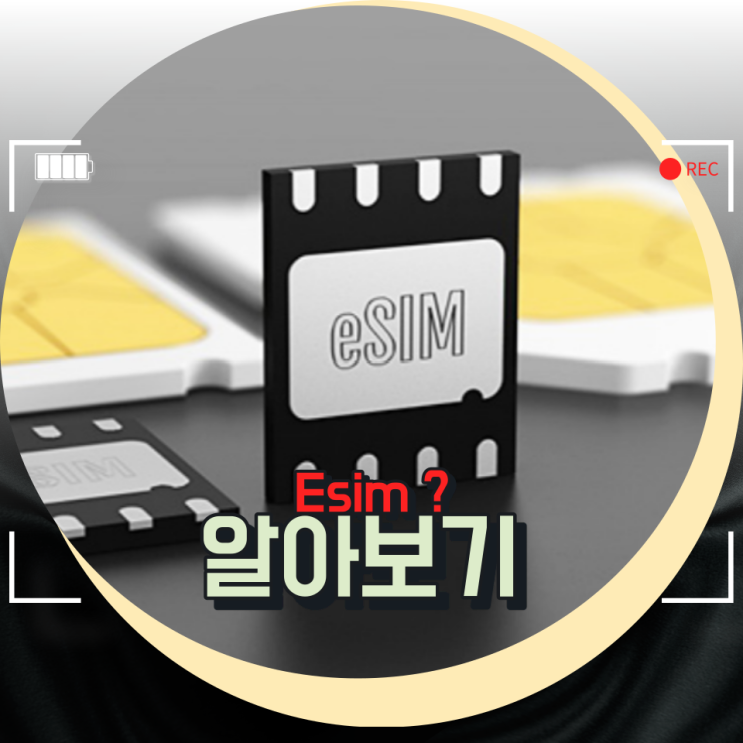 eSim 에 대하여 알아보자 / 듀얼sim 핸드폰 하나로 두개의 번호 사용?