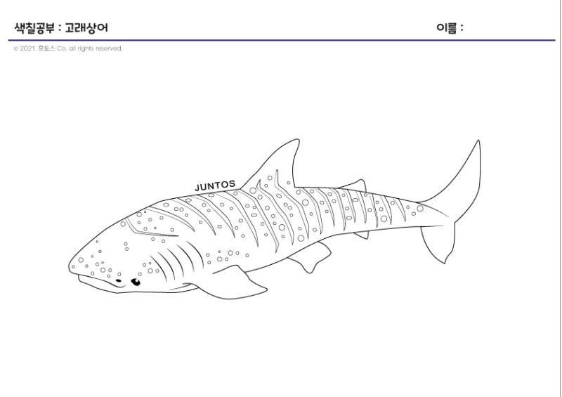 고래상어 색칠하기놀이