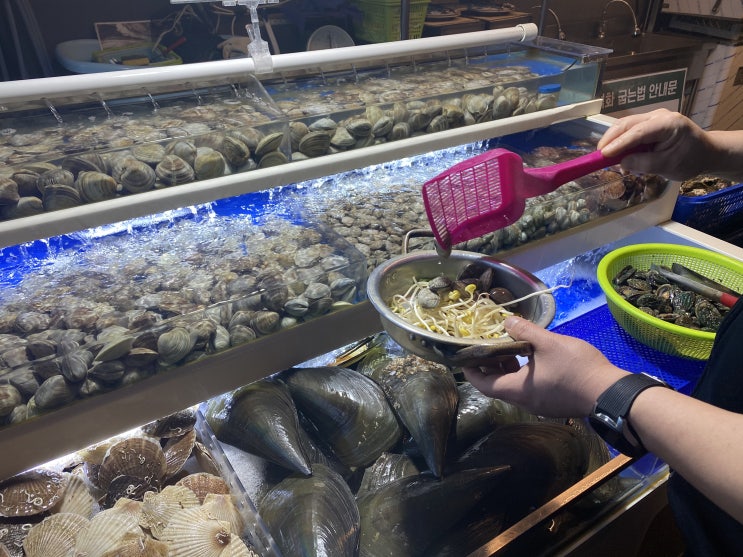  가정조개창고 내돈내산 리뷰