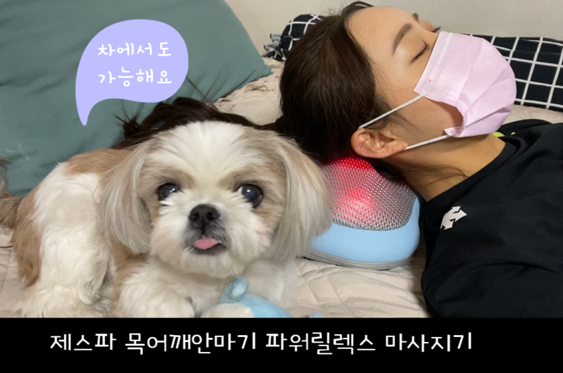 ［제스파］목어깨안마기 파워릴렉스 마사지기 차에서도 편하게 마사지 받기!