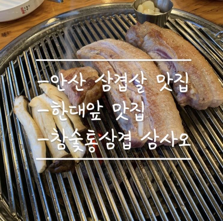 [안산맛집]한대앞 삼겹살 참숯통삼겹 삼사오