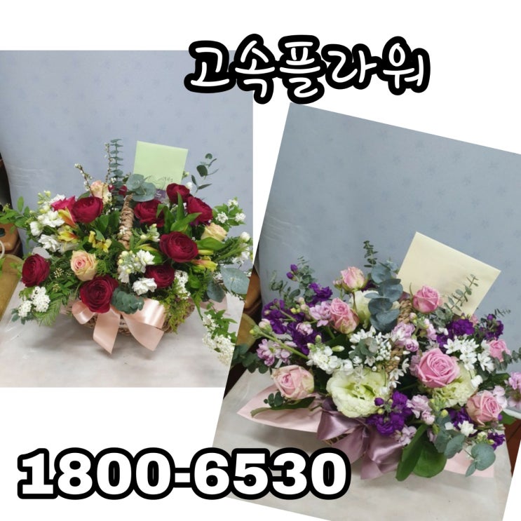  대전 중구꽃배달  개업 생일 집들이 축하선물 러블리꽃바구니 배달 착한가격 믿고 주문하세요 고속플라워 1800-6530