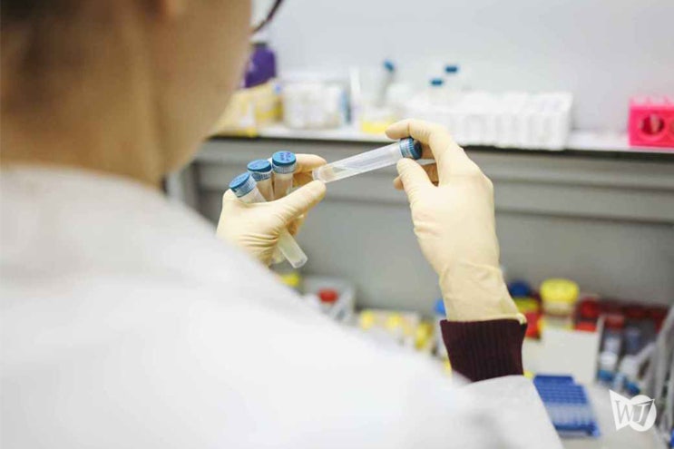 백신 사고 보험금 200~300만 홍콩달러 예정 백신 사고 보험금 200~300만 홍콩달러 예정