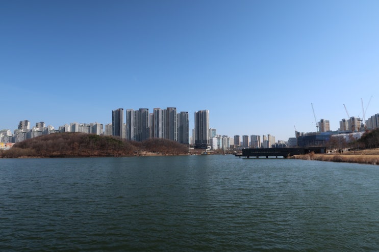  동탄2 신도시 : 경칩이 다가오는 호수 남쪽을 따라, 동탄 호수공원 하루산책
