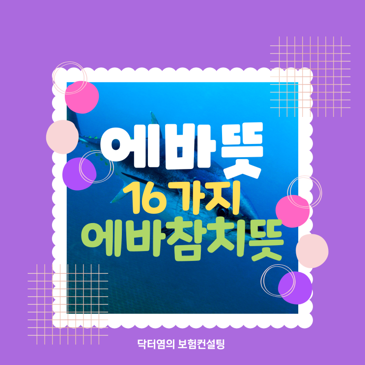  에바뜻 에바 뜻과 에바참치 뜻 16가지 총정리