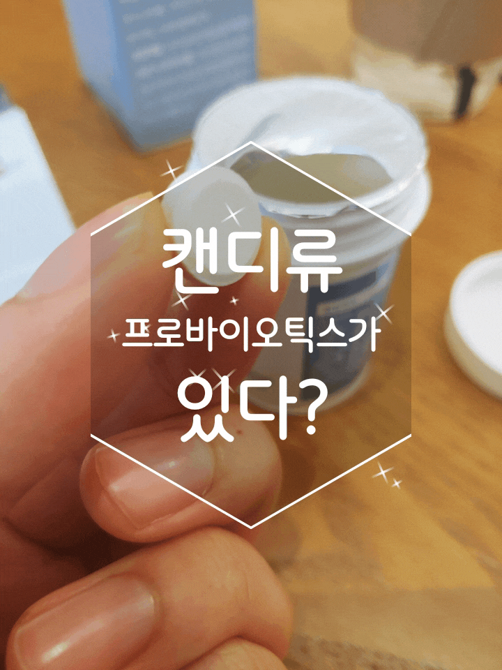 향긋한 구강유산균 비포락토 덴틱스 츄어블