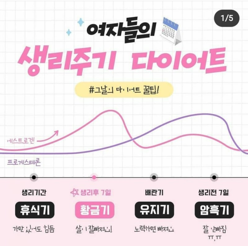 현명한 호르몬 체충감량법! 생리기간 다이어트 방법 3