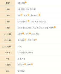 아동예방접종총정리 백신종류횟수시기 부작용특징 BCGDTapMMR 간염폴리오