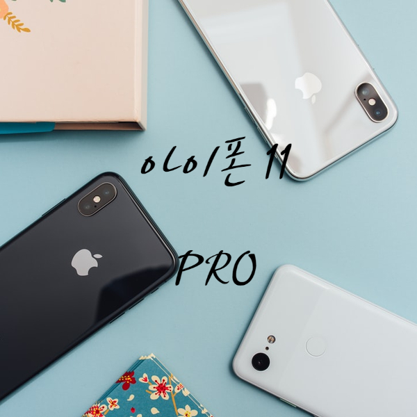  애플 아이폰 11 PRO 후기