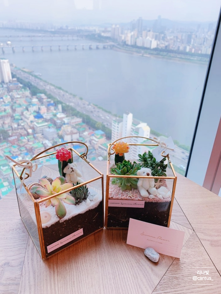  프립 원데이클래스, 나만의 작은 정원 #테라리움 만들기