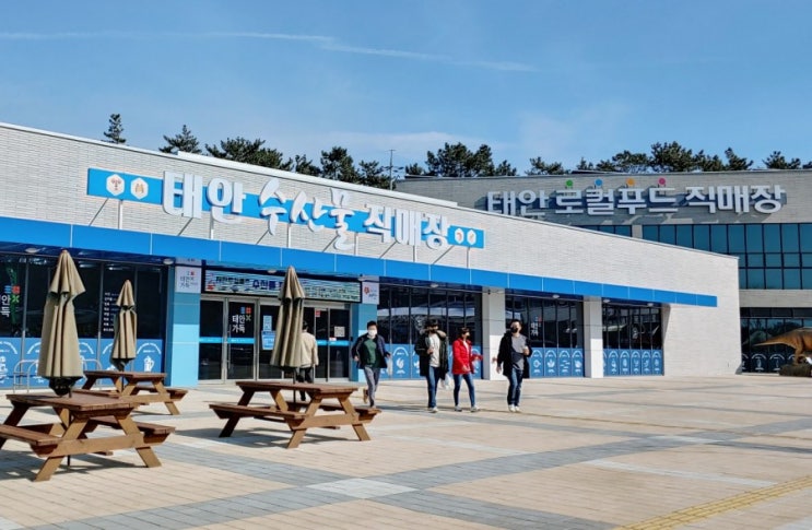 태안 안면도 특산물이 한자리에 착한가격 로컬푸드수산직매장 태안 안면도 특산물이 한자리에 착한가격 로컬푸드수산직매장
