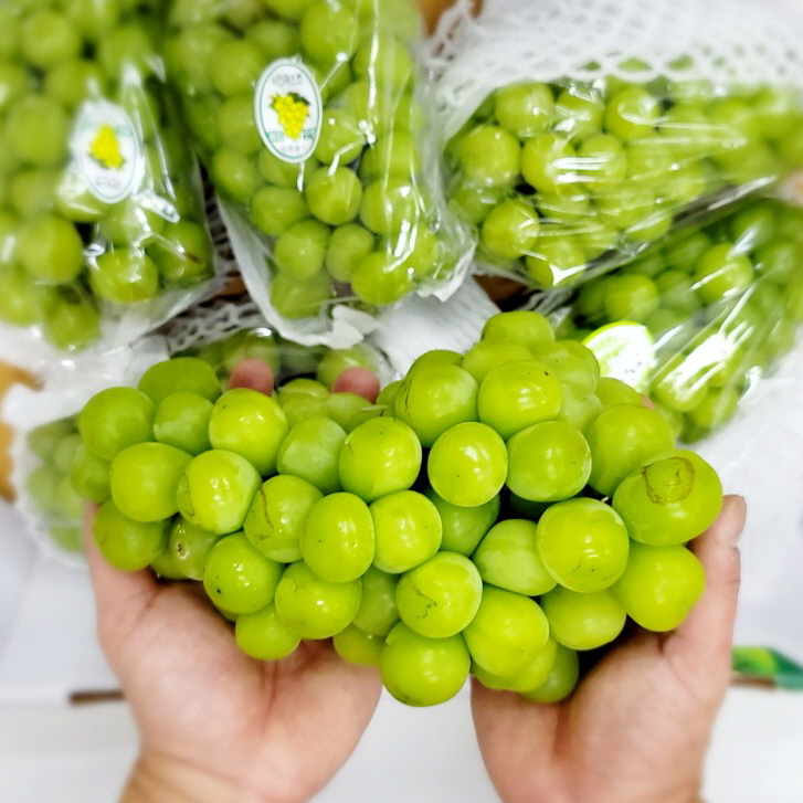 많이 팔린 샤인머스캣 2kg 2수 3수 4수 경북 영천 김천 상주 산지 공판장 직송, 샤인머스켓2kg(4수) 좋아요 많이 팔린 샤인머스캣 2kg 2수 3수 4수 경북 영천 김천 상주 산지 공판장 직송, 샤인머스켓2kg(4수) 좋아요