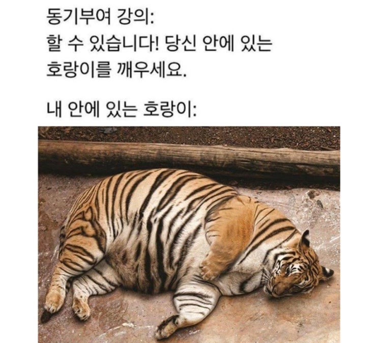  주제 없는 짤털과 주절거림